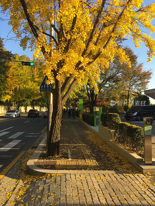 首尔Namsan Sowol-gil